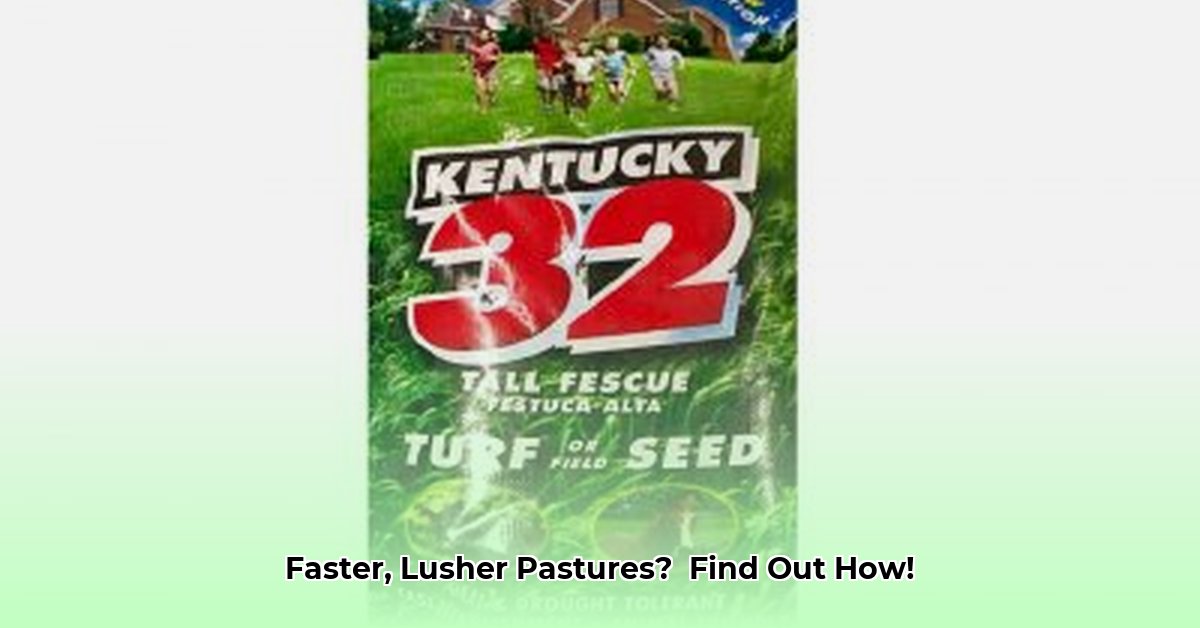 contractor-s-mix-grass-seed-tractor-supply